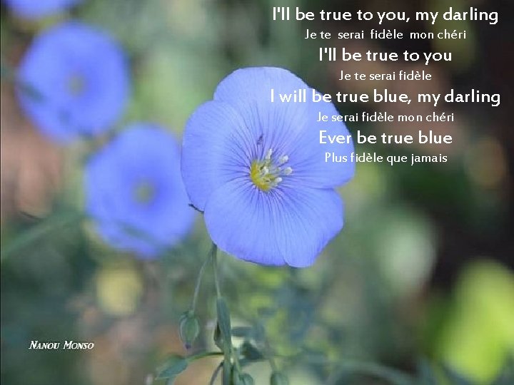 I'll be true to you, my darling Je te serai fidèle mon chéri I'll