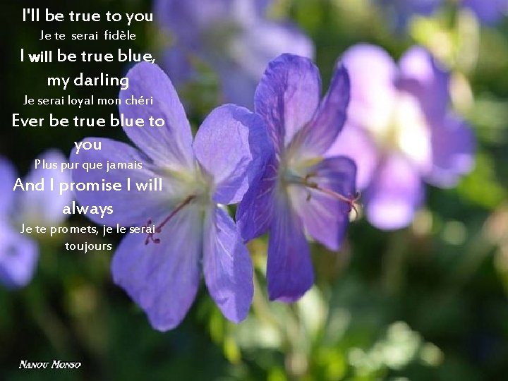 I'll be true to you Je te serai fidèle I will be true blue,