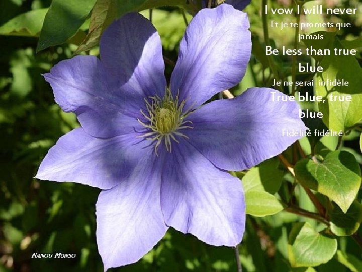 I vow I will never Et je te promets que jamais Be less than