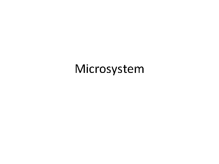 Microsystem 