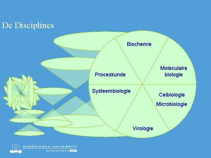De Disciplines Biochemie Moleculaire biologie Proceskunde Systeembiologie Celbiologie Microbiologie Virologie 