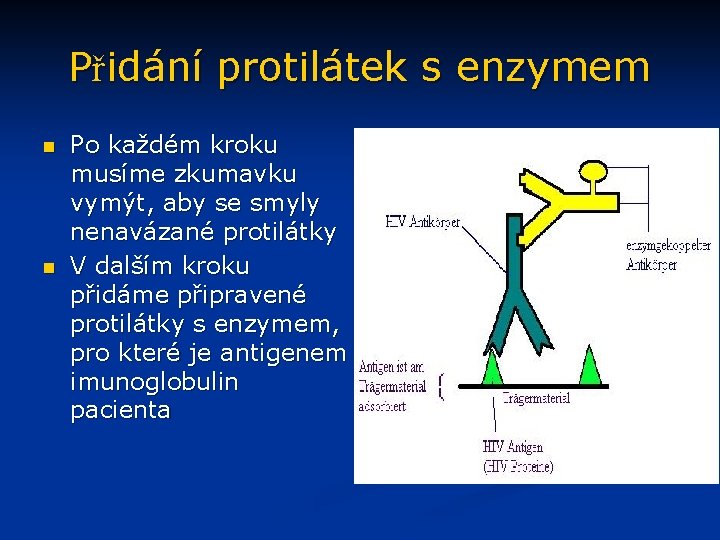 Přidání protilátek s enzymem n n Po každém kroku musíme zkumavku vymýt, aby se