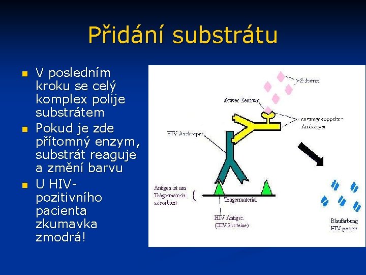 Přidání substrátu n n n V posledním kroku se celý komplex polije substrátem Pokud