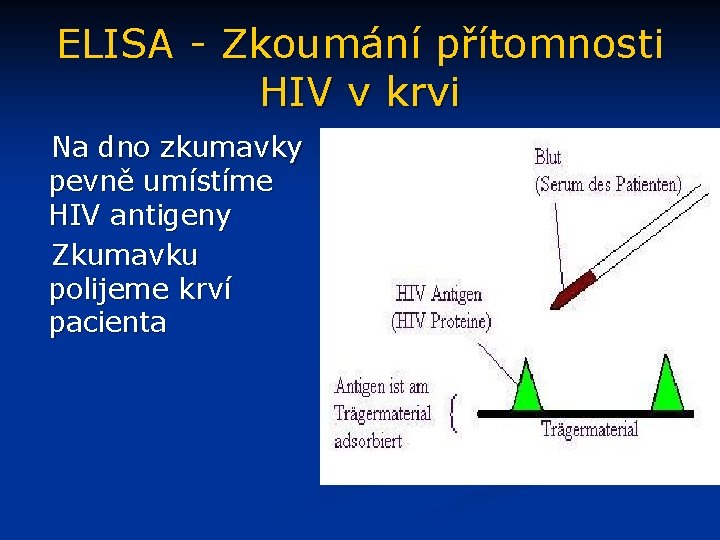 ELISA - Zkoumání přítomnosti HIV v krvi Na dno zkumavky pevně umístíme HIV antigeny