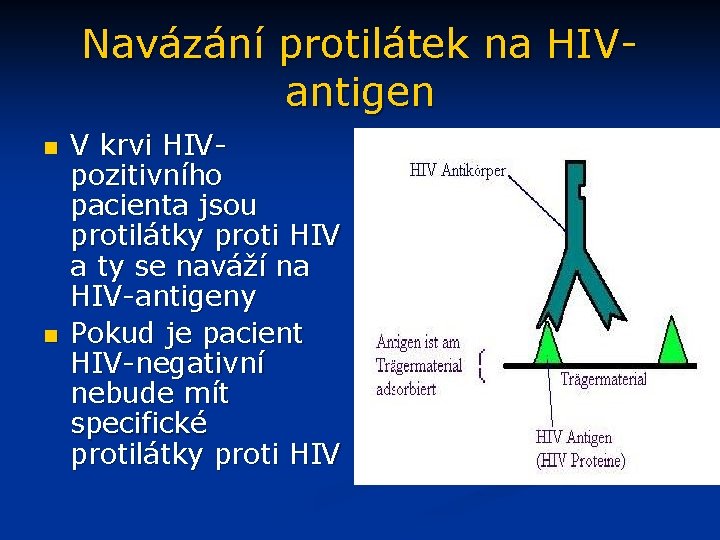 Navázání protilátek na HIVantigen n n V krvi HIVpozitivního pacienta jsou protilátky proti HIV