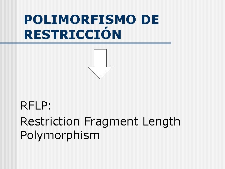 POLIMORFISMO DE RESTRICCIÓN RFLP: Restriction Fragment Length Polymorphism 