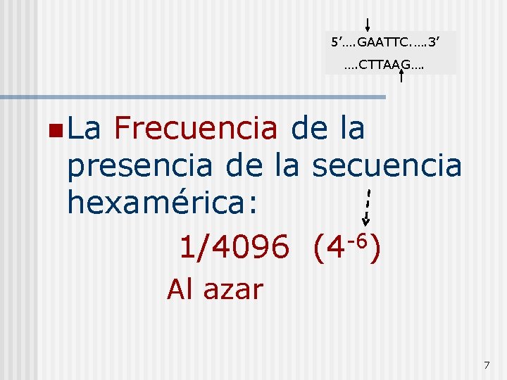 5’…. GAATTC. …. 3’ …. CTTAAG…. n La Frecuencia de la presencia de la