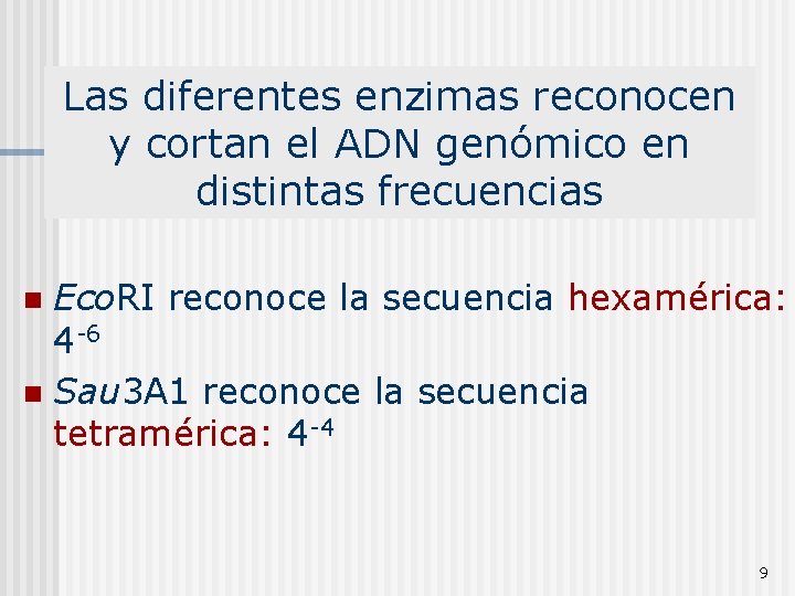 Las diferentes enzimas reconocen y cortan el ADN genómico en distintas frecuencias Eco. RI