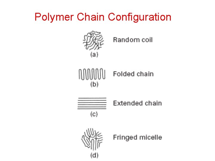 Polymer Chain Configuration 