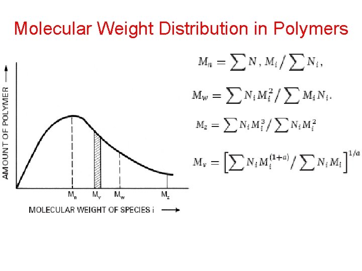 Molecular Weight Distribution in Polymers 