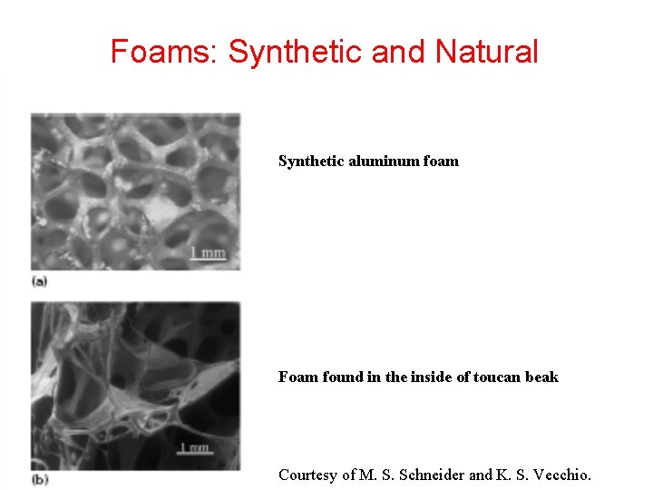 Foams: Synthetic and Natural Synthetic aluminum foam Foam found in the inside of toucan