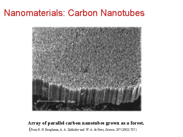 Nanomaterials: Carbon Nanotubes Array of parallel carbon nanotubes grown as a forest. (From R.