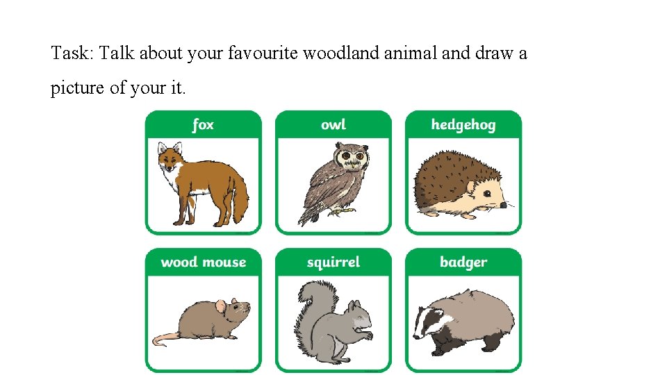 Task: Talk about your favourite woodland animal and draw a picture of your it.