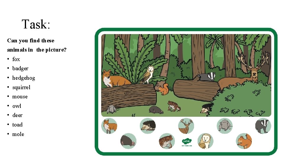 Task: Can you find these animals in the picture? • fox • badger •