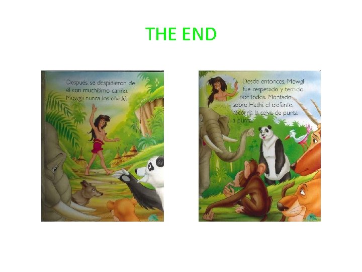 THE END 