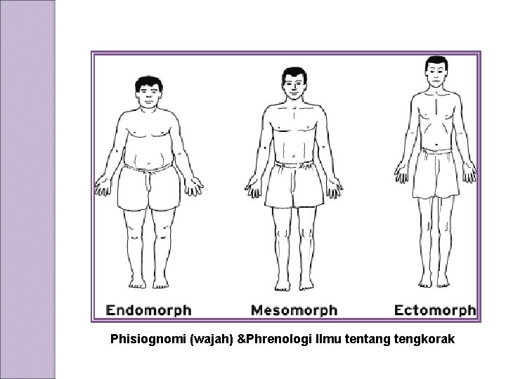 Phisiognomi (wajah) &Phrenologi Ilmu tentang tengkorak 