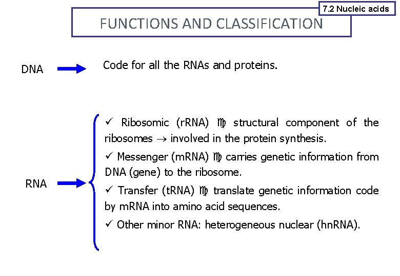 7. 2 Nucleic acids FUNCTIONS AND CLASSIFICATION DNA Code for all the RNAs and
