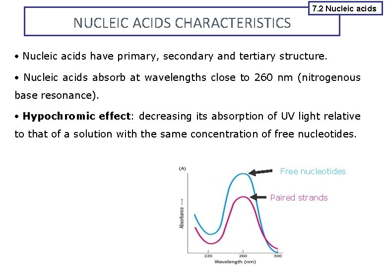 NUCLEIC ACIDS CHARACTERISTICS 7. 2 Nucleic acids have primary, secondary and tertiary structure. Nucleic