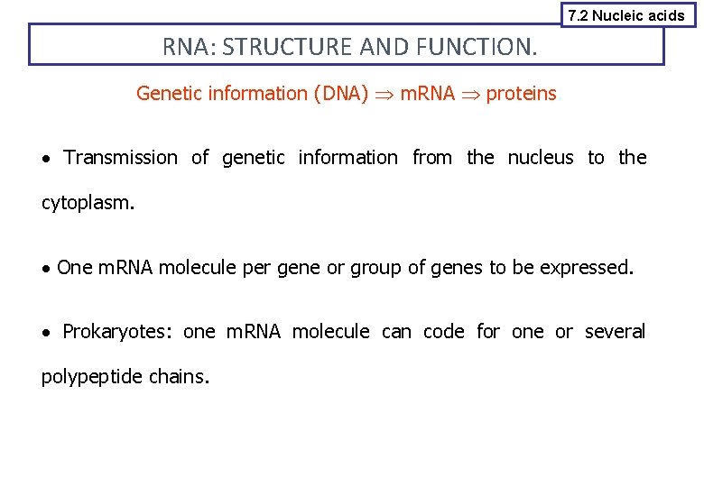 7. 2 Nucleic acids RNA: STRUCTURE AND FUNCTION. Genetic information (DNA) m. RNA proteins.