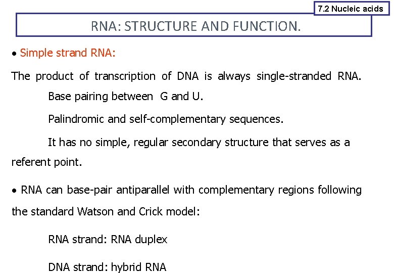 7. 2 Nucleic acids RNA: STRUCTURE AND FUNCTION. Simple strand RNA: The product of