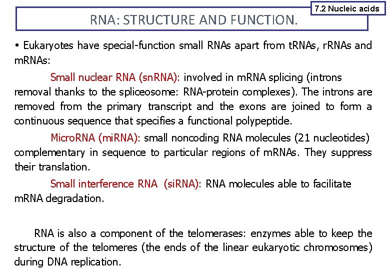 RNA: STRUCTURE AND FUNCTION. 7. 2 Nucleic acids Eukaryotes have special-function small RNAs apart