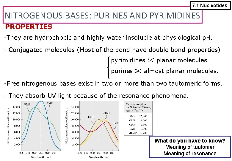 7. 1 Nucleotides NITROGENOUS BASES: PURINES AND PYRIMIDINES PROPERTIES -They are hydrophobic and highly