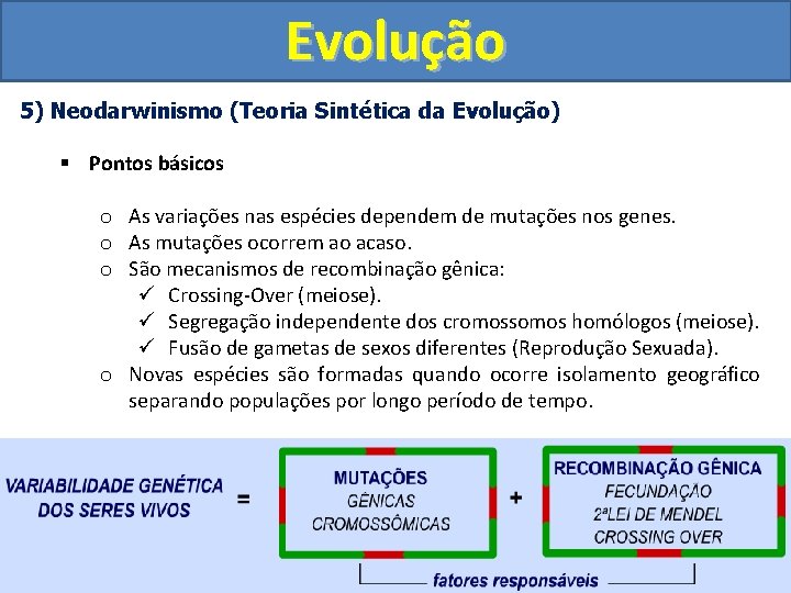 Evolução 5) Neodarwinismo (Teoria Sintética da Evolução) § Pontos básicos o As variações nas