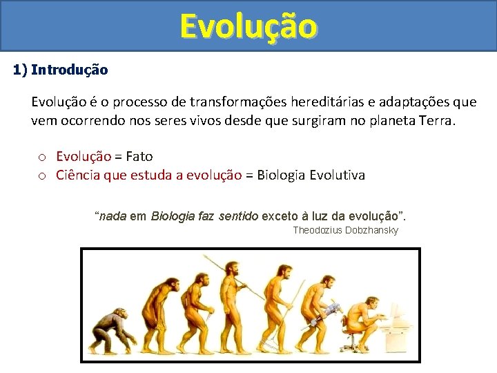 Evolução 1) Introdução Evolução é o processo de transformações hereditárias e adaptações que vem