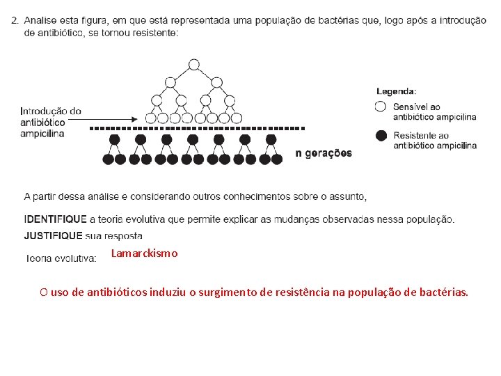 Lamarckismo O uso de antibióticos induziu o surgimento de resistência na população de bactérias.