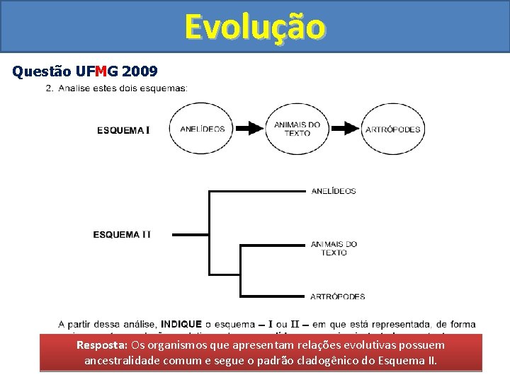 Evolução Questão UFMG 2009 Resposta: Os organismos que apresentam relações evolutivas possuem ancestralidade comum