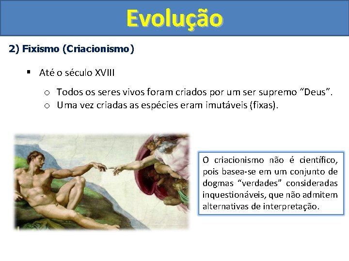Evolução 2) Fixismo (Criacionismo) § Até o século XVIII o Todos os seres vivos