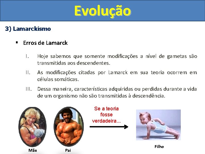 Evolução 3) Lamarckismo § Erros de Lamarck I. Hoje sabemos que somente modificações a