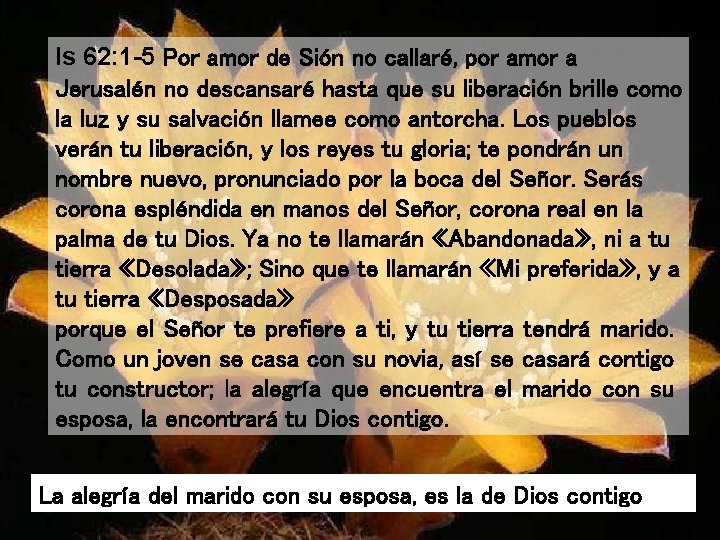 Is 62: 1 -5 Por amor de Sión no callaré, por amor a Jerusalén