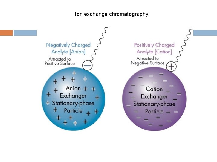 Ion exchange chromatography 