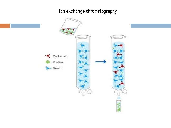 Ion exchange chromatography 