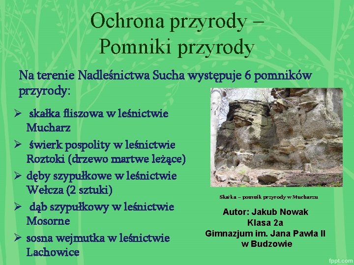 Ochrona przyrody – Pomniki przyrody Na terenie Nadleśnictwa Sucha występuje 6 pomników przyrody: Ø