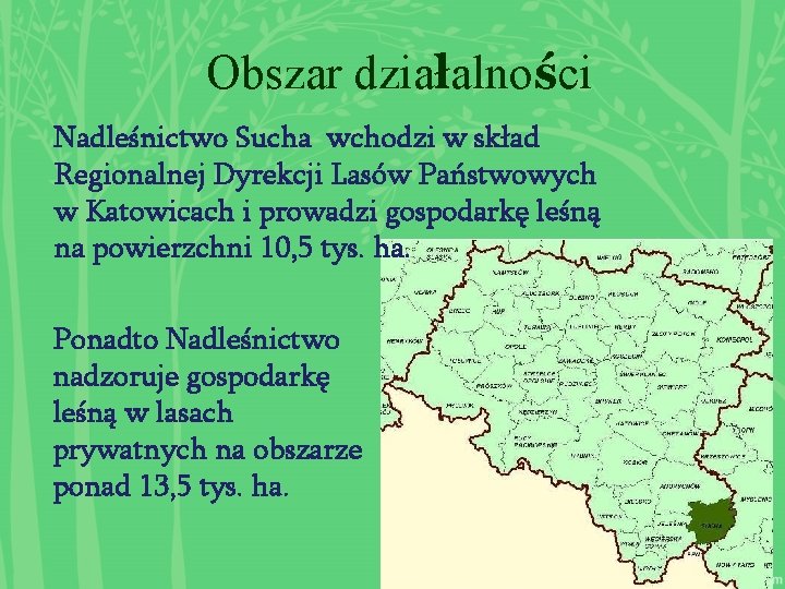 Obszar działalności Nadleśnictwo Sucha wchodzi w skład Regionalnej Dyrekcji Lasów Państwowych w Katowicach i