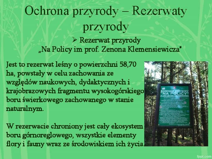 Ochrona przyrody – Rezerwaty przyrody Ø Rezerwat przyrody „Na Policy im prof. Zenona Klemensiewicza"