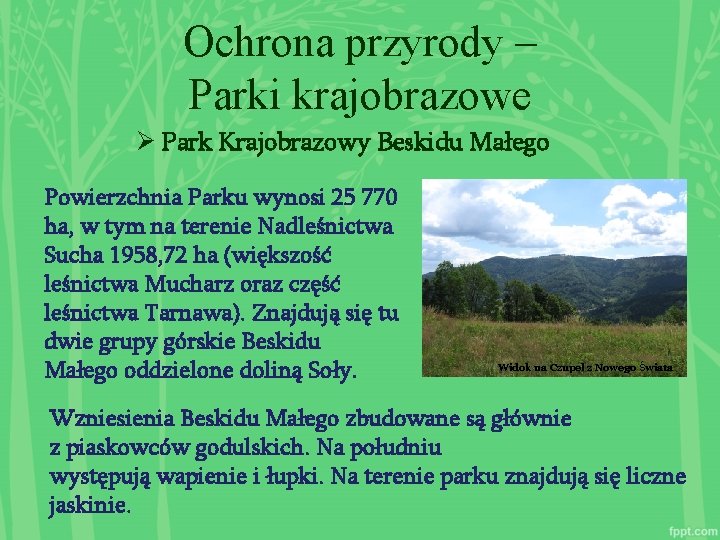 Ochrona przyrody – Parki krajobrazowe Ø Park Krajobrazowy Beskidu Małego Powierzchnia Parku wynosi 25