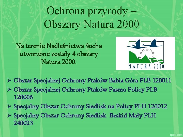 Ochrona przyrody – Obszary Natura 2000 Na terenie Nadleśnictwa Sucha utworzone zostały 4 obszary