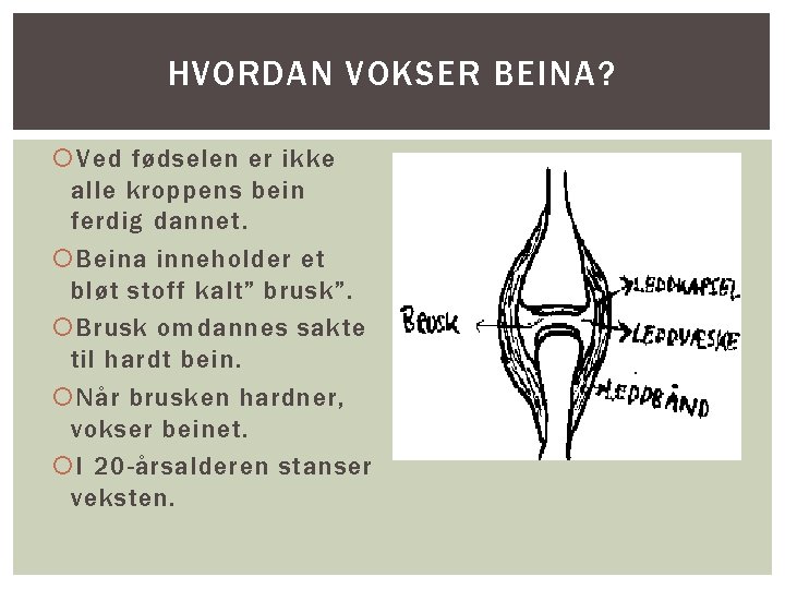 HVORDAN VOKSER BEINA? Ved fødselen er ikke alle kroppens bein ferdig dannet. Beina inneholder