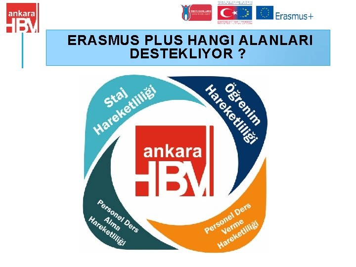 ERASMUS PLUS HANGI ALANLARI DESTEKLIYOR ? 