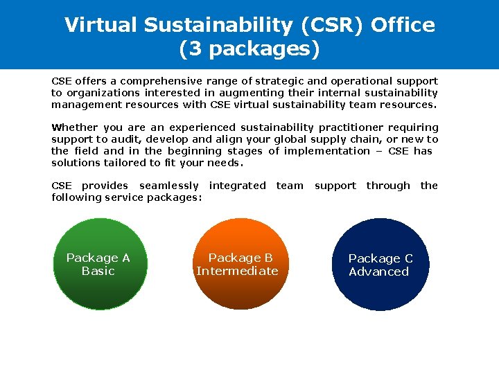 Virtual Sustainability (CSR) Office (3 packages) CSE offers a comprehensive range of strategic and