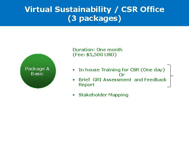 Virtual Sustainability / CSR Office (3 packages) Duration: One month (Fee: $5, 500 USD)