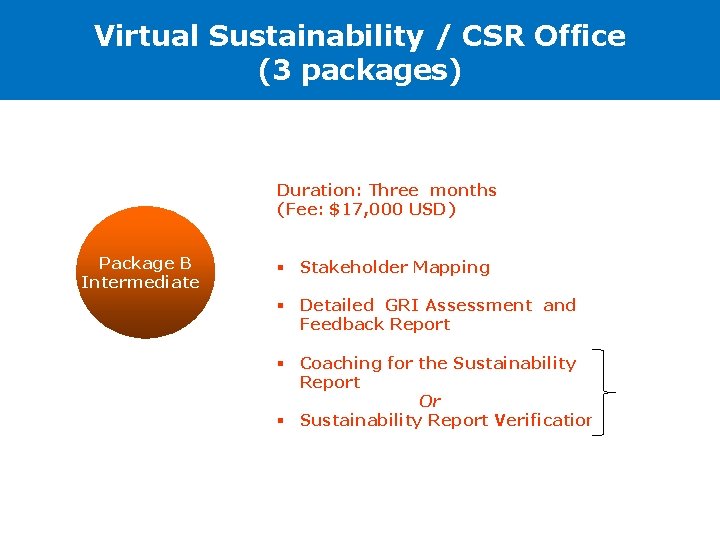 Virtual Sustainability / CSR Office (3 packages) Duration: Three months (Fee: $17, 000 USD)