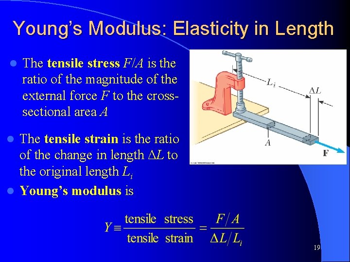 Young’s Modulus: Elasticity in Length l The tensile stress F/A is the ratio of