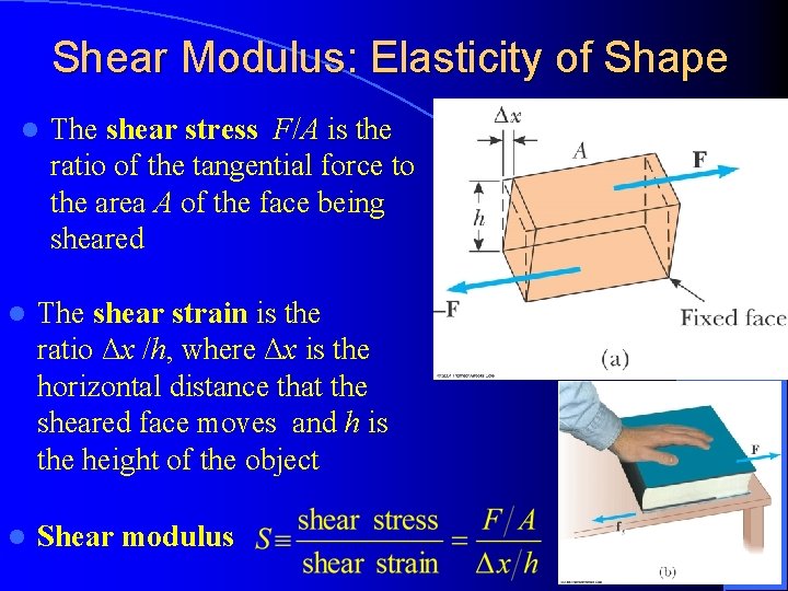 Shear Modulus: Elasticity of Shape l The shear stress F/A is the ratio of