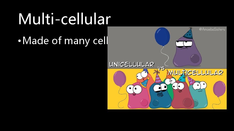Multi-cellular • Made of many cells 