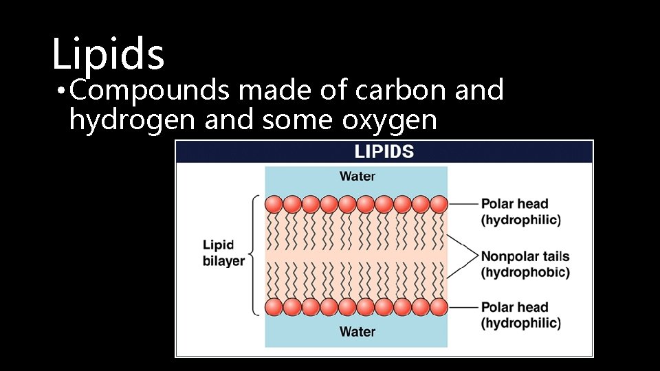 Lipids • Compounds made of carbon and hydrogen and some oxygen 