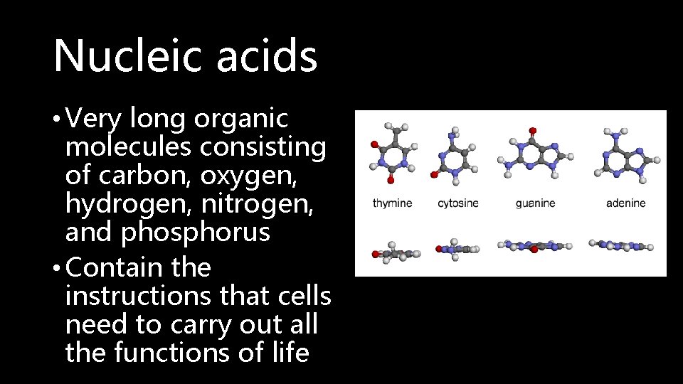 Nucleic acids • Very long organic molecules consisting of carbon, oxygen, hydrogen, nitrogen, and